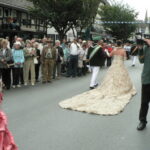 Bundesfest 2008_35